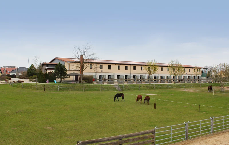 ranch (13)