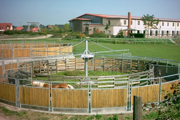 ranch (9)